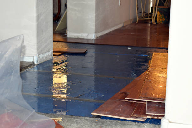 Professional Flood Damage Restoration technician working in Holland, TX